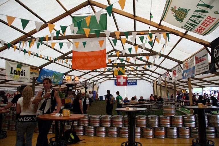 16 irish openair 2008 15