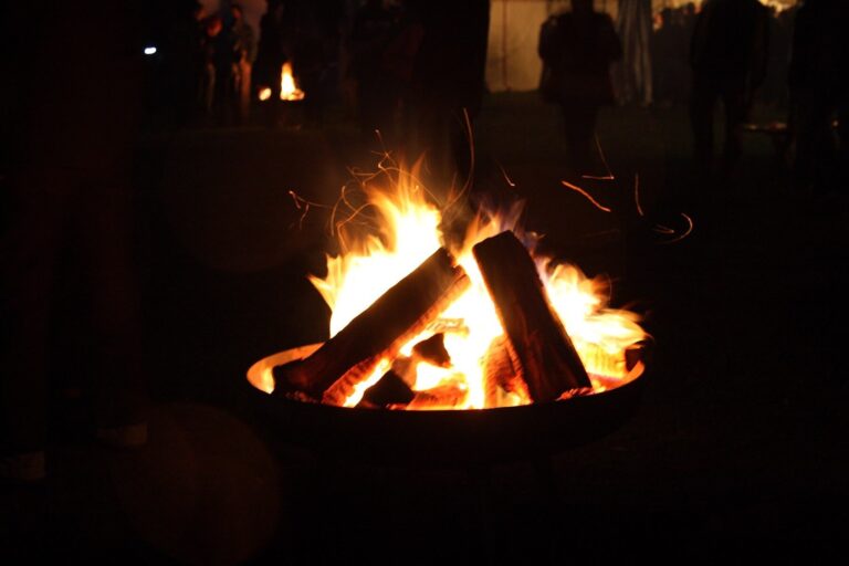 17 irish openair 2008 16