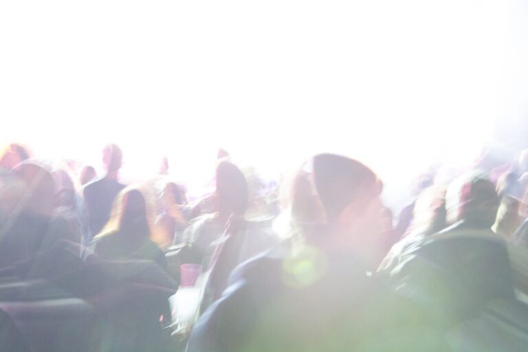 53 irish openair toggenburg 2013 051