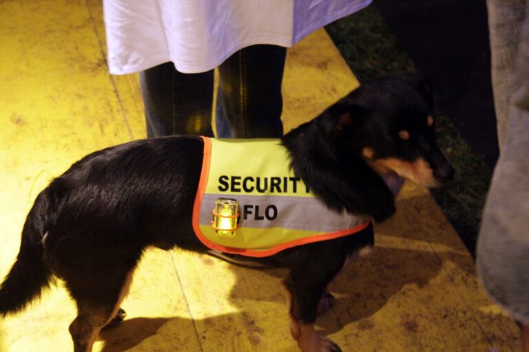 54 irish openair 2012 51