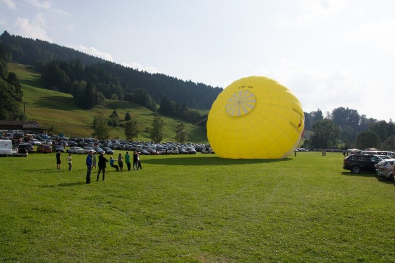 78 irish openair toggenburg 2013 076