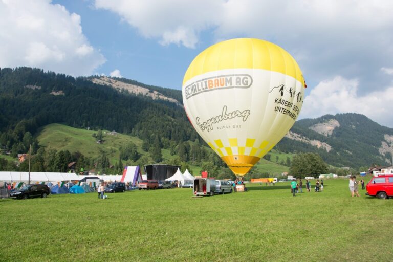 84 irish openair toggenburg 2013 082