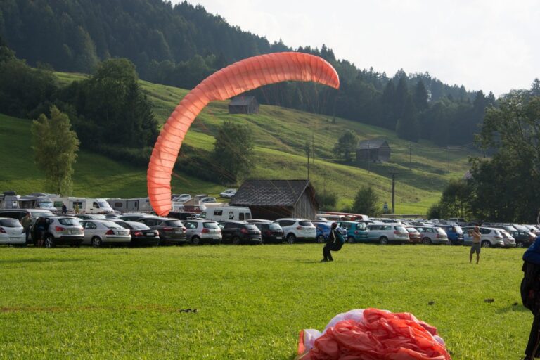 93 irish openair toggenburg 2013 091